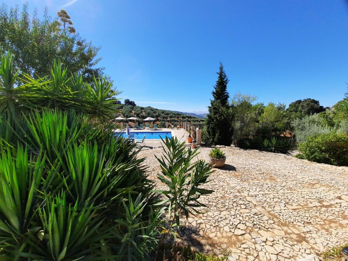Apartment Hacienda La Buena Vida En Casita La Bruja Algarinejo